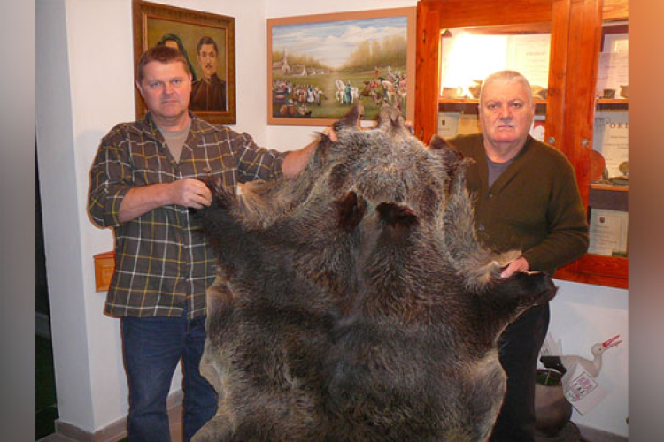 Vaddisznóbőr adomány a Fekete István Múzeumnak