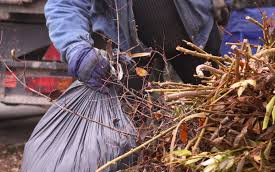 Tájékoztató a zöldhulladék gyűjtéséről!